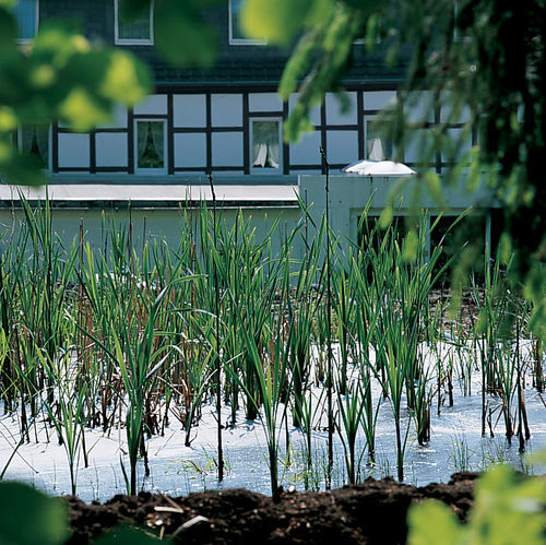 Moorland Hotel am Senkelteich Vlotho Exterior foto
